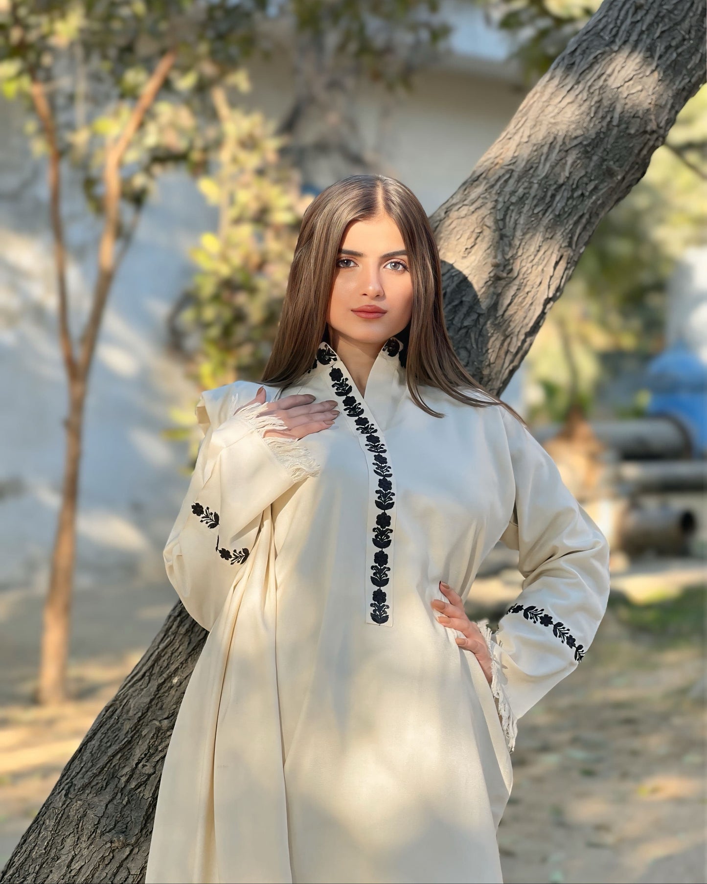 Moon Pearl Embroidered 3 Piece Stitched